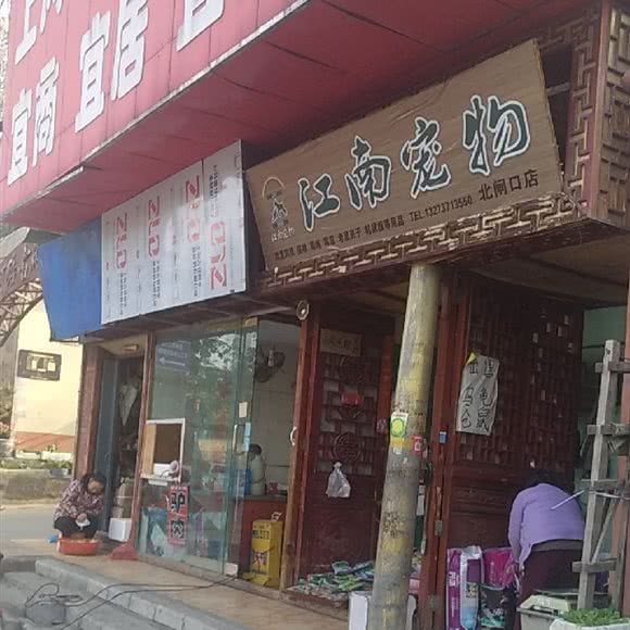 江南宠物(北闸口店):郑州市管城回族区火车站/二七广场附近