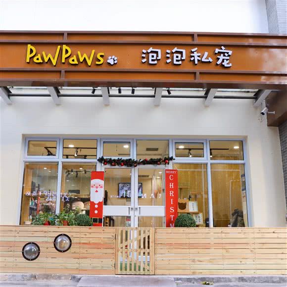 PawPaws泡泡私宠:北京城区朝阳区劲松/潘家园附近