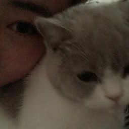 初一の猫舍:天津城区南开区天拖地区附近
