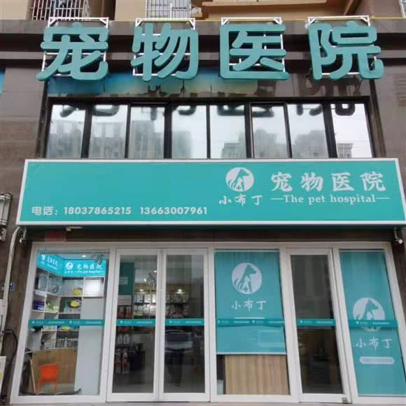 小布丁宠物医院:郑州市管城回族区黄河科技大学城附近