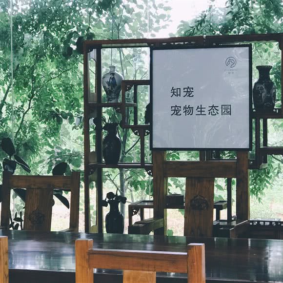 知宠宠物训练寄养生态园:郑州市金水区国贸360附近