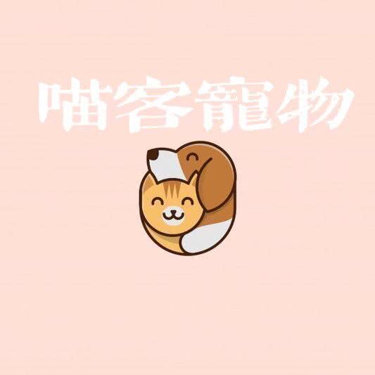 喵客宠物:郑州市金水区国贸360附近
