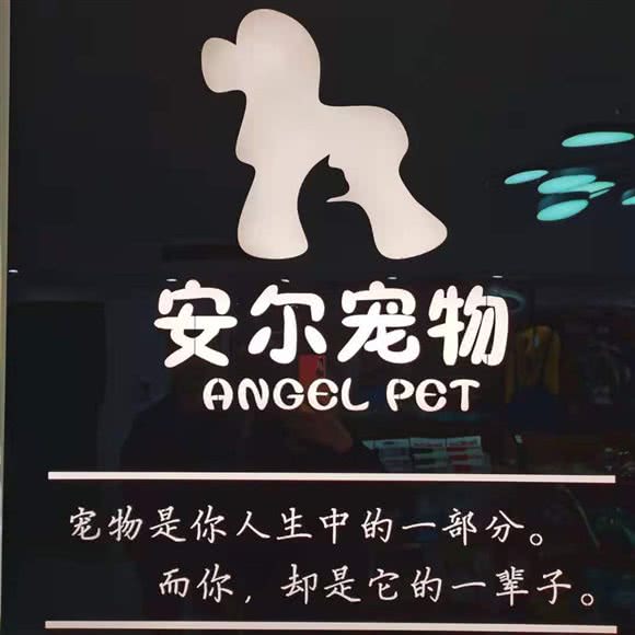 安尔宠物:郑州市金水区国贸360附近