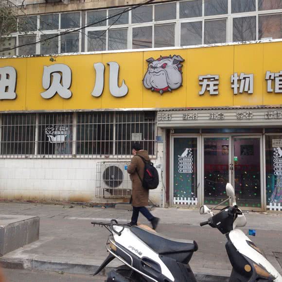 妞贝儿宠物馆:郑州市金水区金水路/省政府附近