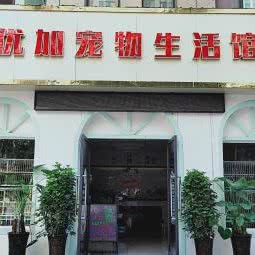 优加宠物生活馆:郑州市金水区东风路附近
