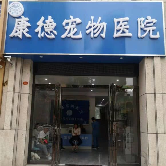 康德宠物医院:郑州市金水区东风路附近