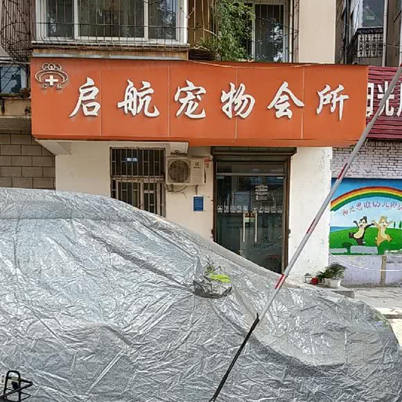 启航宠物诊所美容:郑州市金水区东风路附近