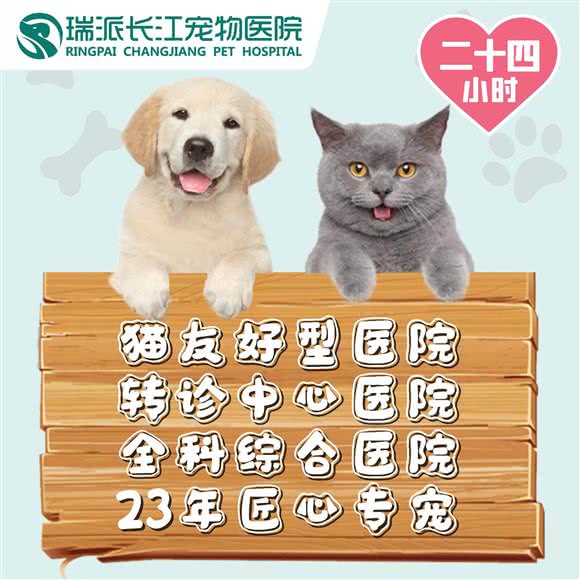 瑞派长江动物医院24小时(总院):天津城区南开区咸阳路/黄河道附近