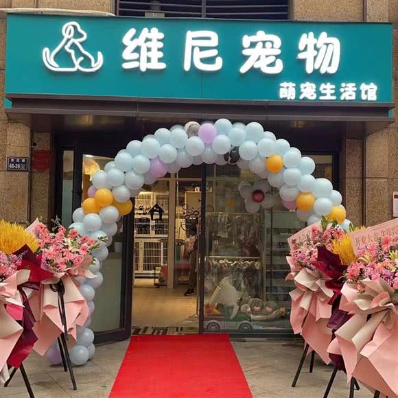 维尼宠物萌宠生活馆:郑州市金水区曼哈顿广场/英协路附近
