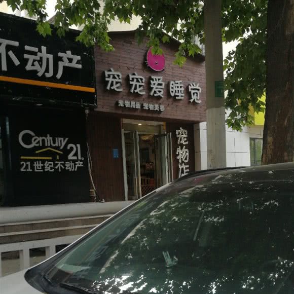 宠宠爱睡觉:郑州市金水区曼哈顿广场/英协路附近