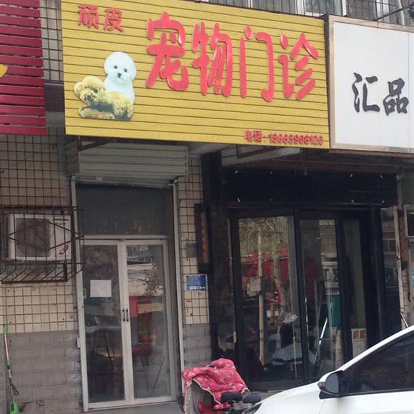 顽皮宠物门诊:郑州市金水区曼哈顿广场/英协路附近