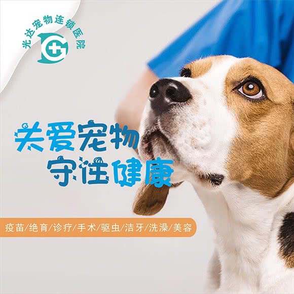 光达宠物医院(沈庄路店):郑州市金水区曼哈顿广场/英协路附近