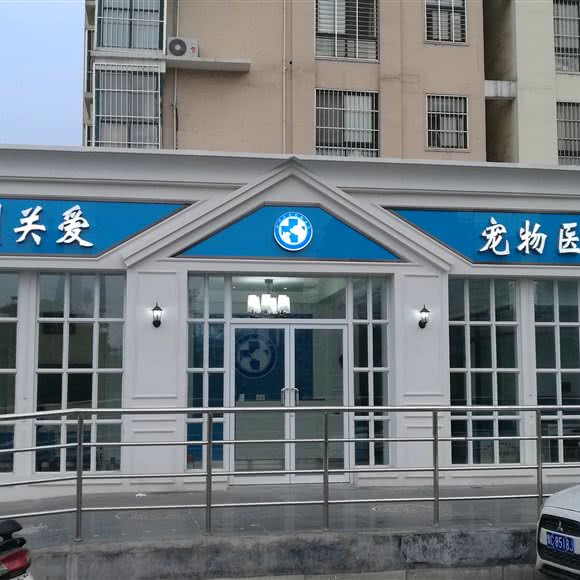 关爱宠物医院:郑州市金水区曼哈顿广场/英协路附近