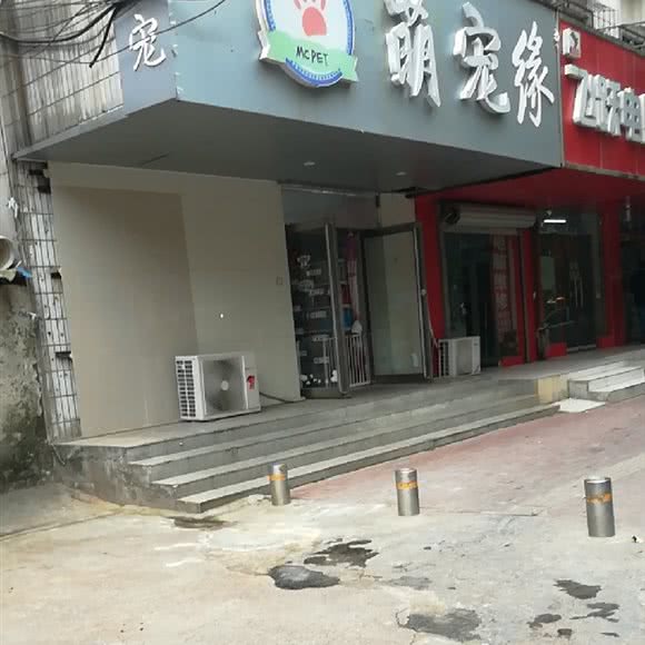 萌宠缘:郑州市金水区大石桥/体育场附近