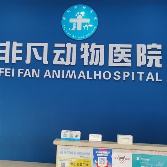 非凡动物医院:郑州市金水区大石桥/体育场附近