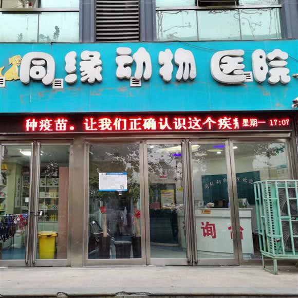 同缘动物医院(沙口路店):郑州市金水区大石桥/体育场附近