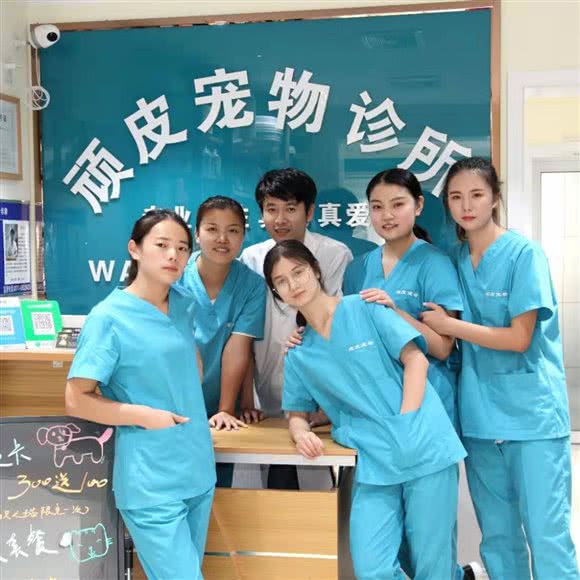 顽皮宠物诊所:郑州市金水区经三路沿线附近