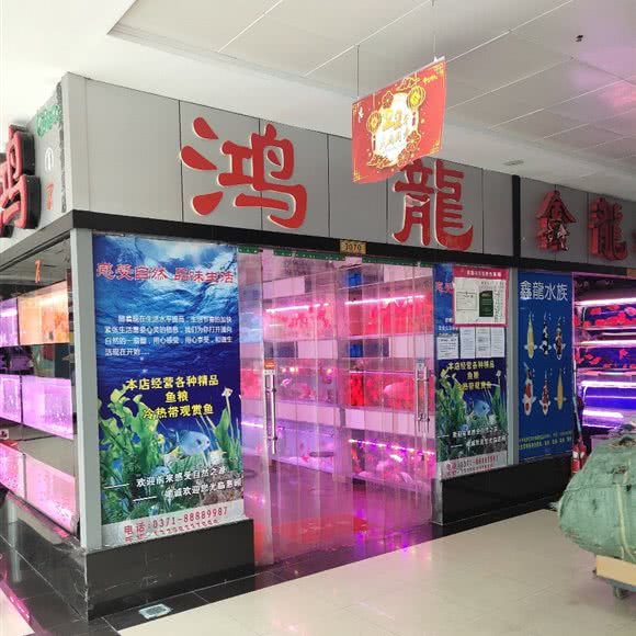 鸿龙:郑州市金水区陈砦附近