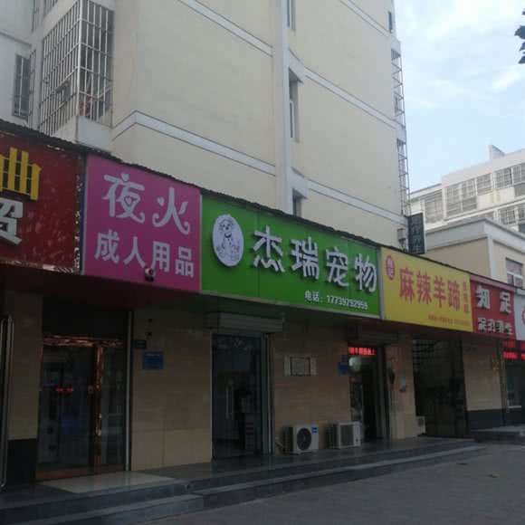 杰瑞宠物:郑州市金水区东建材附近