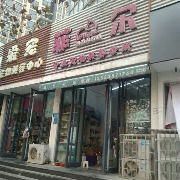 菲尔专业宠物美容会所:郑州市金水区省电视台附近