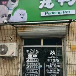 布丁宠物狗:天津城区河北区王串场/民权门附近
