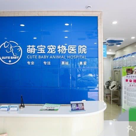 萌宝宠物医院(普罗旺世分院):郑州市金水区普罗旺世/庙李附近