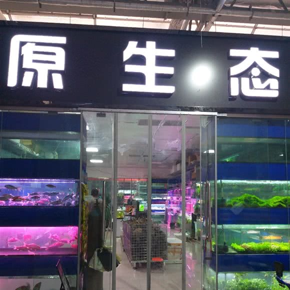 原生态:郑州市金水区市体育中心/郑东花卉市场附近