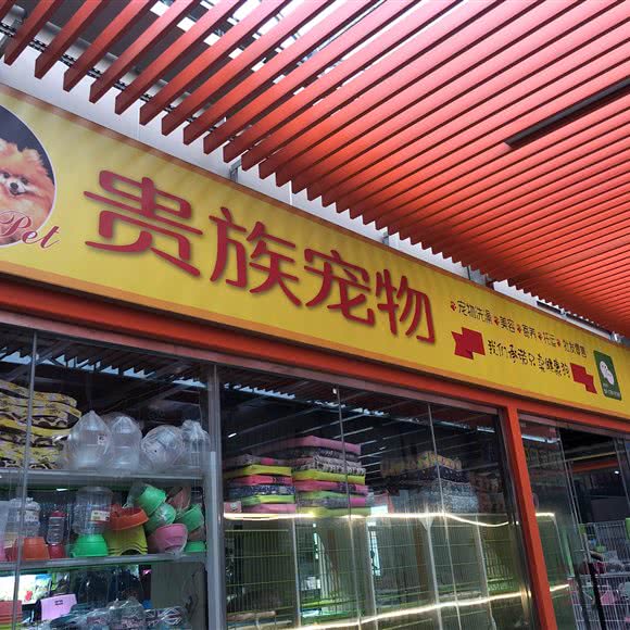 贵族宠物:郑州市金水区市体育中心/郑东花卉市场附近