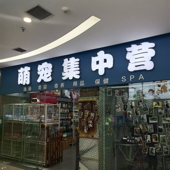 萌宠集中营(陈砦花卉市场店):郑州市金水区凤凰城/上悦城附近