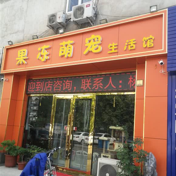 果冻萌宠生活馆:天津城区河北区王串场/民权门附近