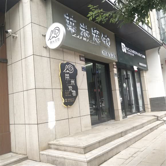 莱米宠物:郑州市上街区上街区附近