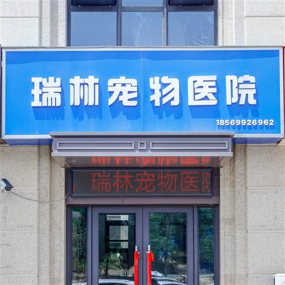 瑞林宠物医院:郑州市惠济区北大学城附近