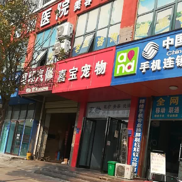 嘉宝宠物医院:郑州市惠济区省体中心/裕华广场附近