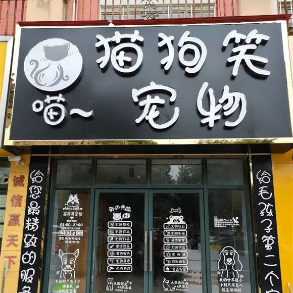 猫狗笑狗狗:郑州市新郑市龙湖镇附近