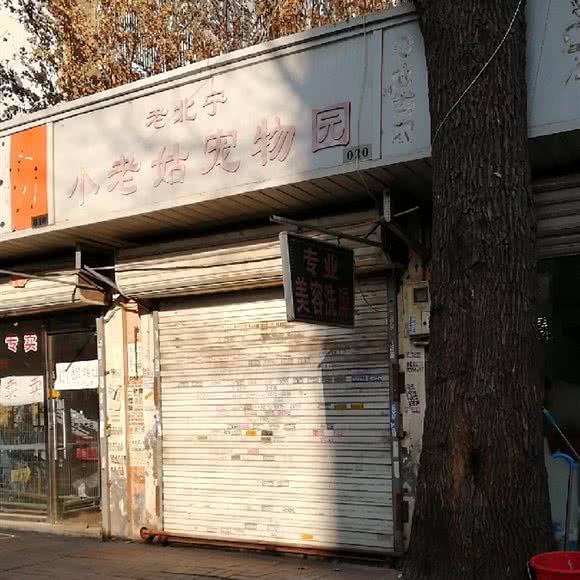小老姑宠物园:天津城区河北区王串场/民权门附近