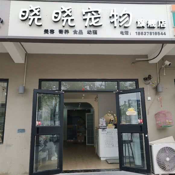 晓晓宠物店(金耀路店):开封市龙亭区开封大学/武夷路附近