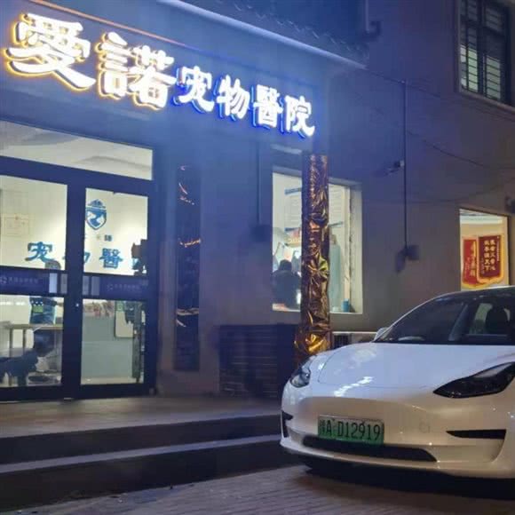 爱诺宠物医院:开封市龙亭区开封大学/武夷路附近