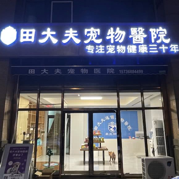 野大夫宠物医院:开封市龙亭区鼎立国际城附近
