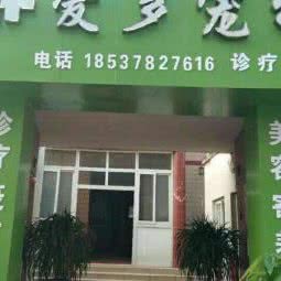 爱多宠物诊疗中心:开封市龙亭区河南大学新校区附近