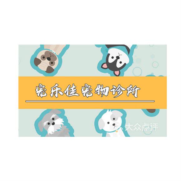 宠乐佳宠物医疗诊所:开封市龙亭区集英街附近