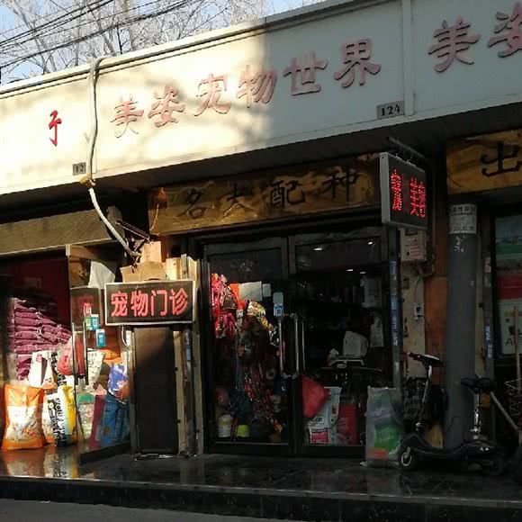 美姿宠物:天津城区河北区王串场/民权门附近