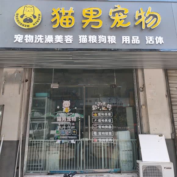 猫男宠物:开封市龙亭区京西宾馆附近