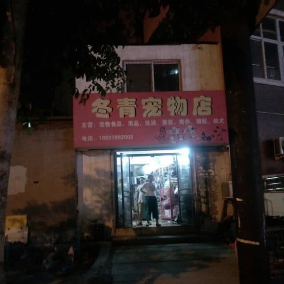 冬青宠物店:开封市龙亭区小宋城附近