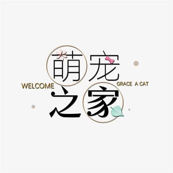 萌宠之家:开封市顺河回族区苹果园附近