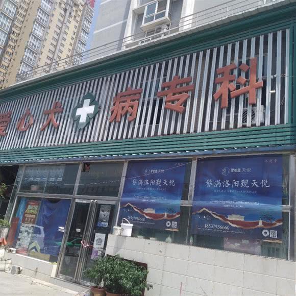 爱心犬病专科:洛阳市老城区道北附近