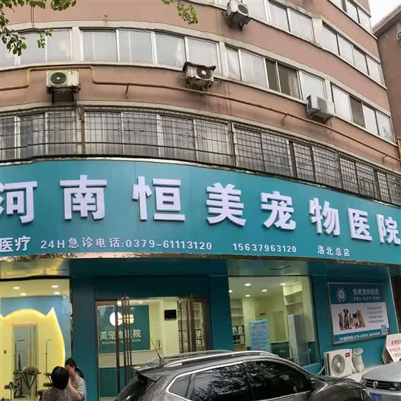 恒美宠物医院(春都路店):洛阳市老城区道北附近