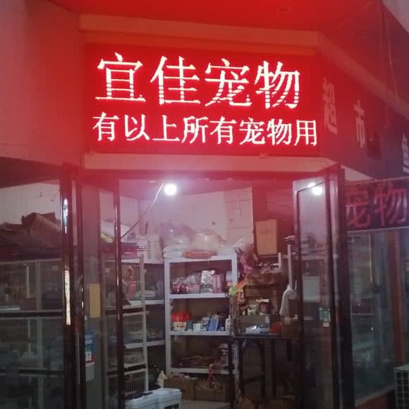 宜佳宠物:洛阳市涧西区上海市场附近