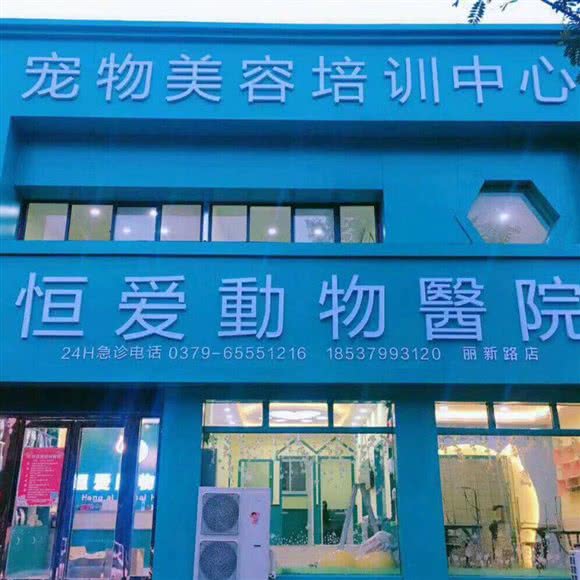 恒爱动物医院(丽新路店):洛阳市涧西区万达广场附近