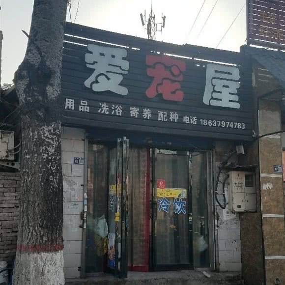 爱宠屋:洛阳市涧西区嵩山路沿线附近