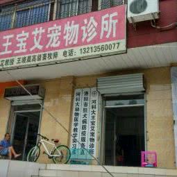 科大王宝艾动物诊所:洛阳市涧西区香港城/武汉路附近